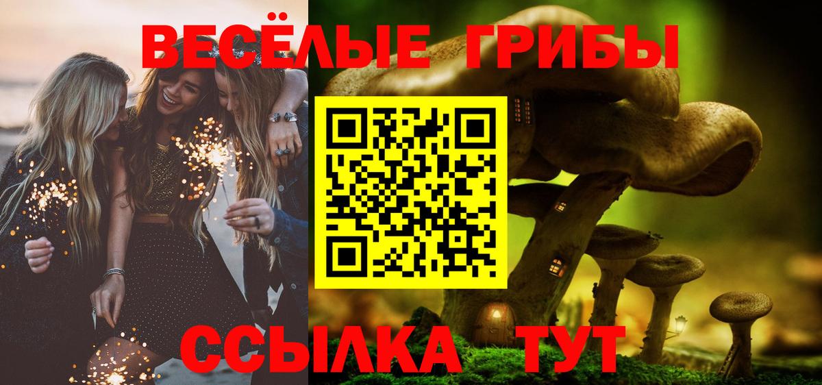 где найти   Псилоцибиновые грибы Psilocybe  Вход с VPN  Губкин 