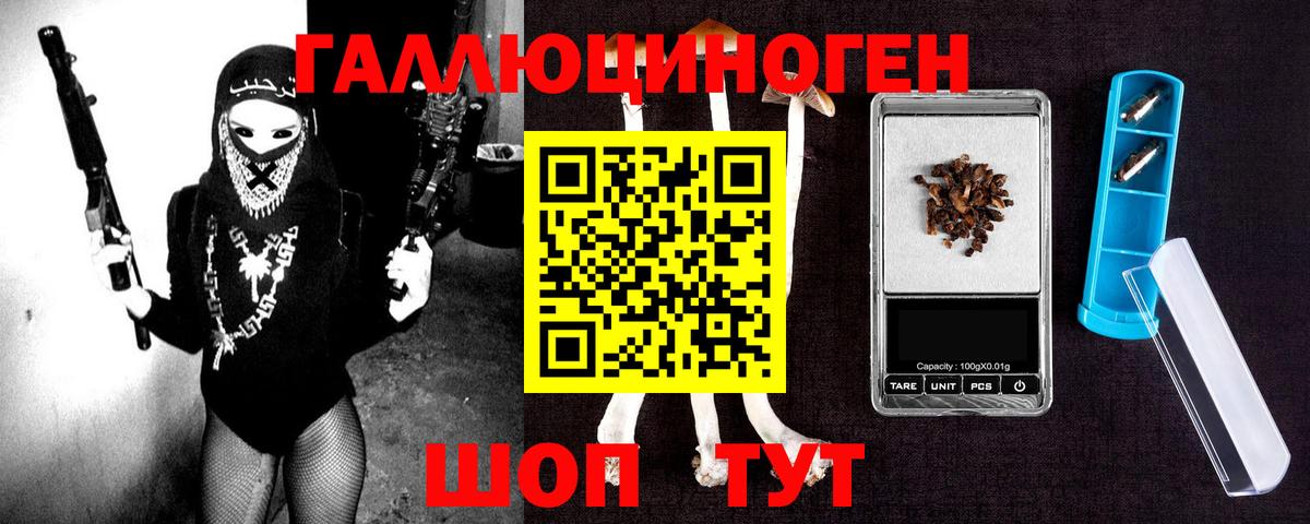 Галлюциногенные грибы мухоморы Губкин