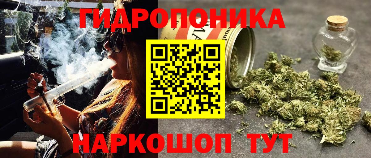 Бошки Шишки White Widow  Конопля конопля  Вход с VPN  Губкин  МАРИХУАНА SATIVA & INDICA 